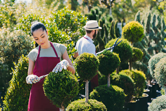 Manutenzione generale del giardino