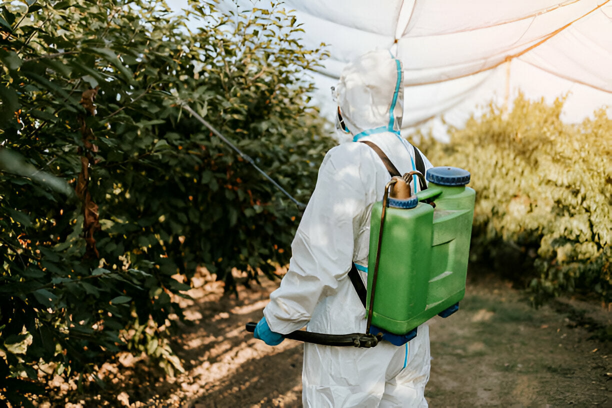 Controllo delle infestazioni